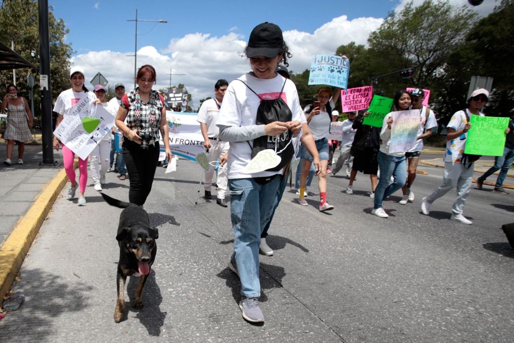 Fotos y videos de la marcha por los derechos de los animales en CDMX 