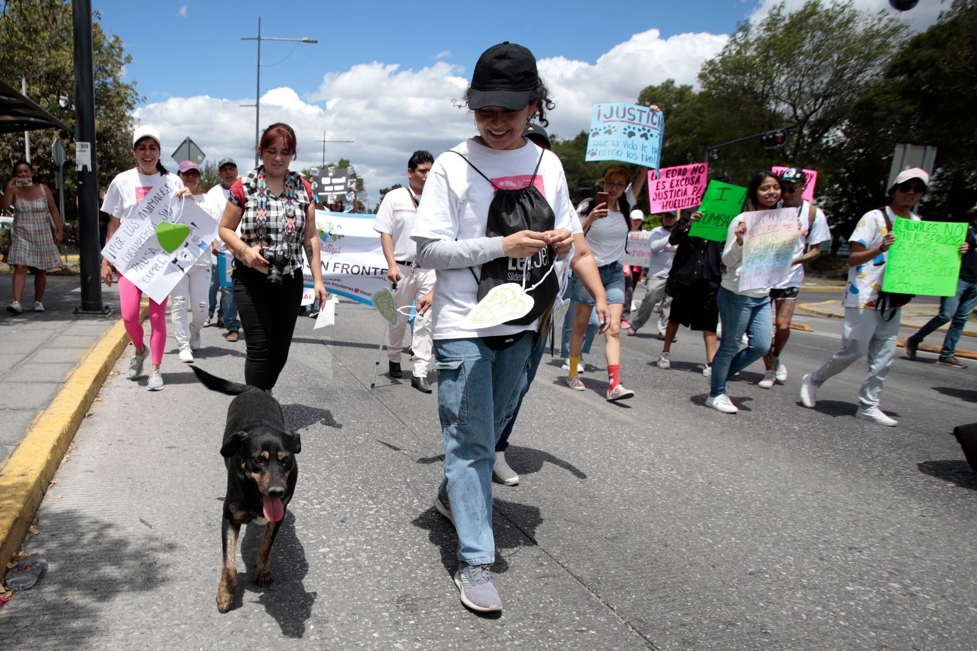Fotos y videos de la marcha por los derechos de los animales en CDMX
