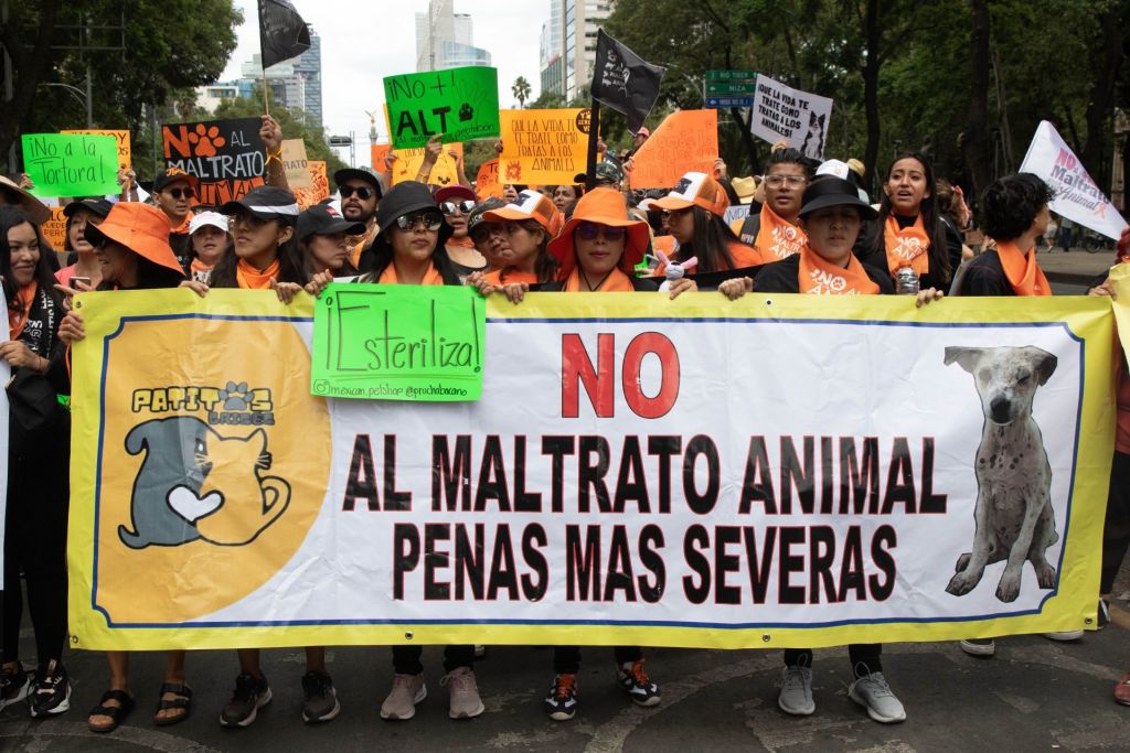 Fotos y videos de la marcha por los derechos de los animales en CDMX