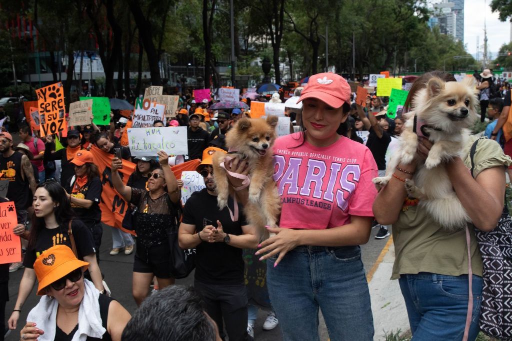 Fotos y videos de la marcha por los derechos de los animales en CDMX