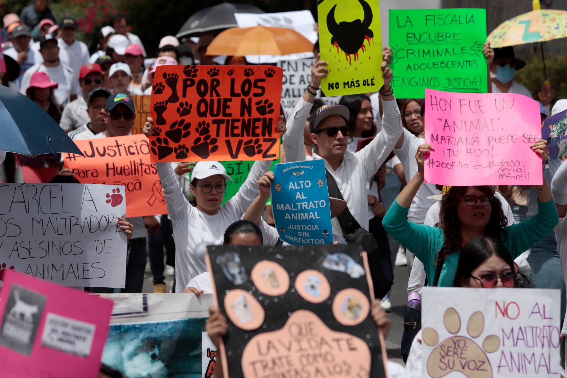 Fotos y videos de la marcha por los derechos de los animales en CDMX