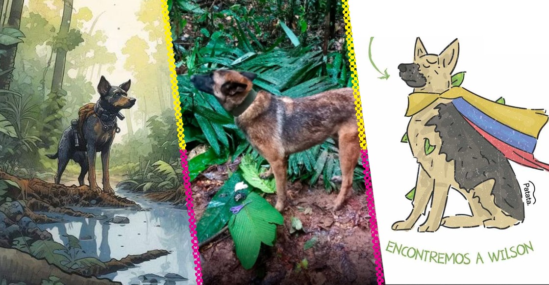perro-wilson-perdido-selva-colombia
