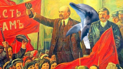 Rusia entrena delfines para atacar a Ucrania.