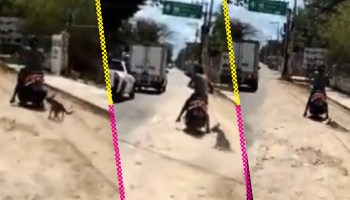 Graban a un sujeto que arrastra a su perro con la moto en calles de Yucatán
