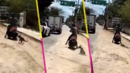 Graban a un sujeto que arrastra a su perro con la moto en calles de Yucatán