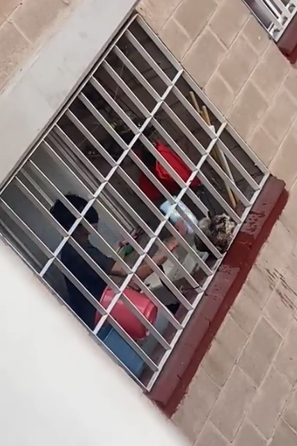 Adolescente es captado golpeando a un gatito en CDMX