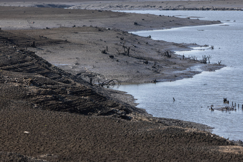 Crisis del agua en Uruguay: X claves sobre la emergencia en Montevideo