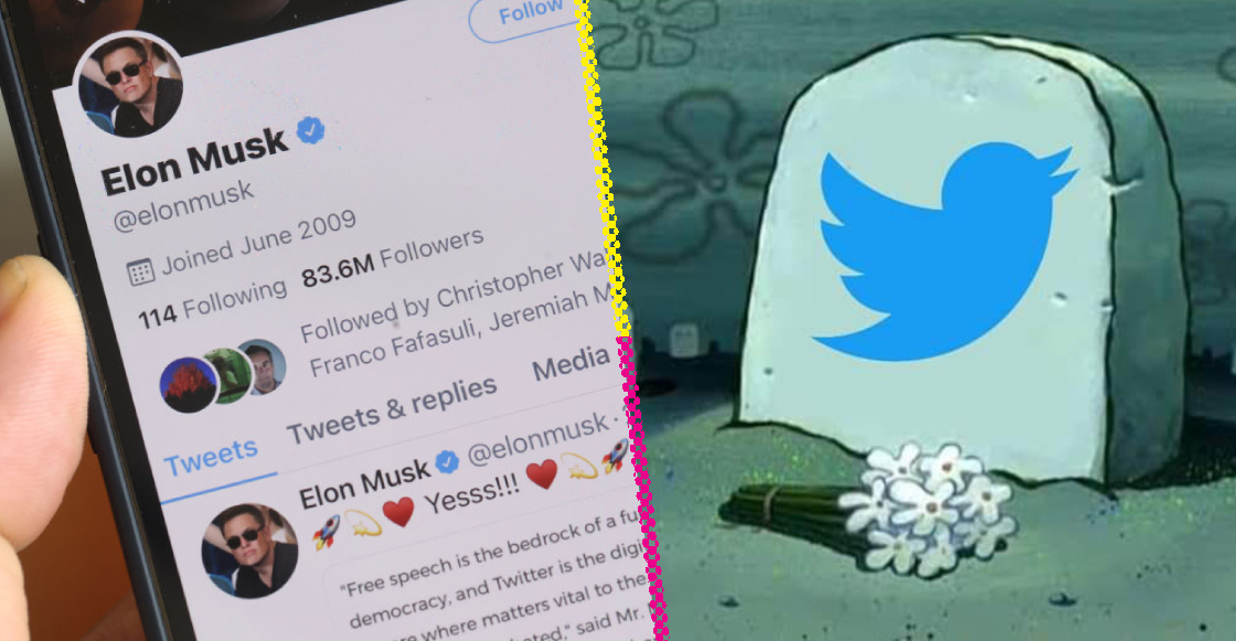 5 cambios que Elon Musk ha hecho a Twitter y nos hacen creer que el fin de la red social está cerca