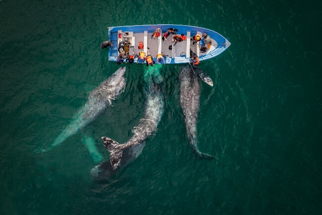 El concurso fotográfico de drones 2023