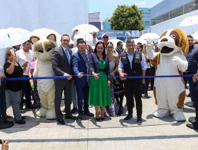 Se abrió un hotel para perros y gatos abandonados