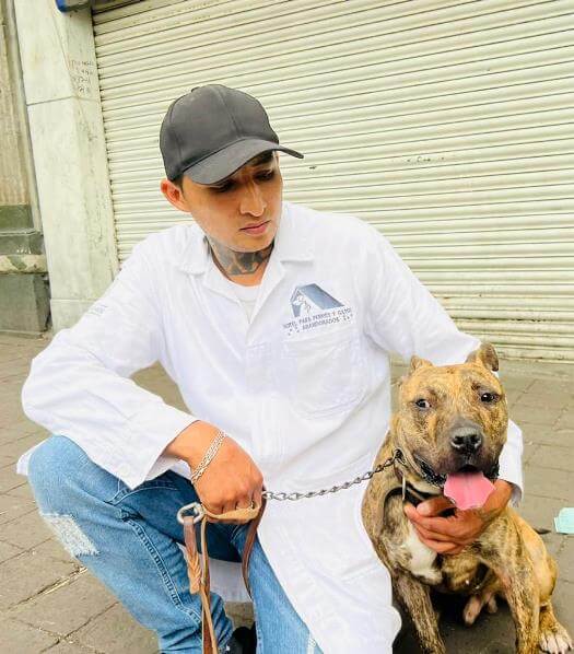 Se abrió un hotel para perros y gatos abandonados