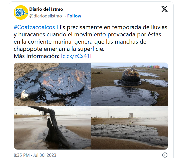Playa de Coatzacoalcos se llena de petróleo y deja tortugas y peces muertos