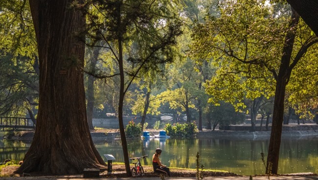 Cinco planes para pasar un verano inolvidable dejar la ciudad