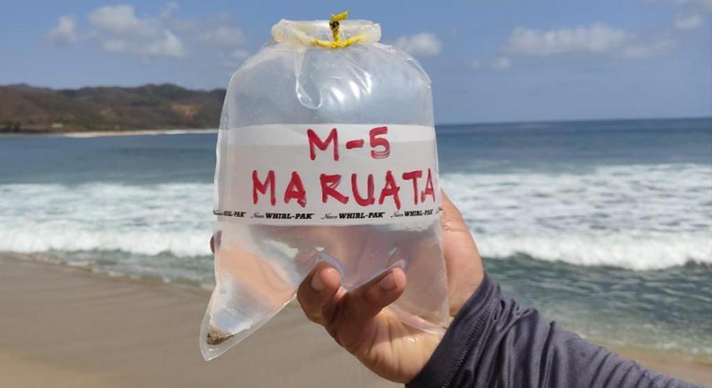 Las playas más contaminadas de México.