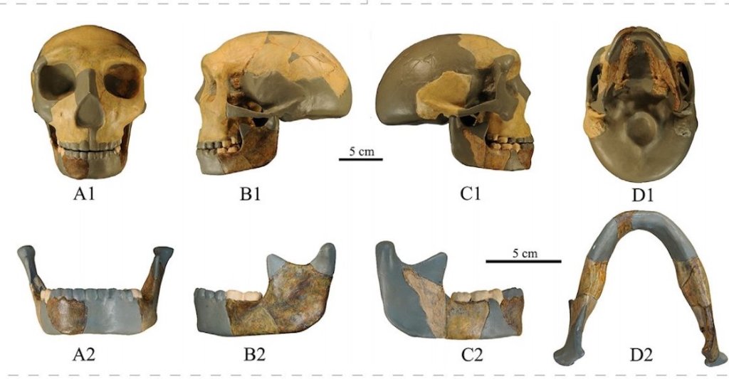 Antiguo cráneo encontraron en China.
