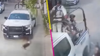 Video muestra a Guardia Nacional atropellando a dos perritos en Acapulco