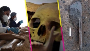 Chinampas y otros tesoros descubiertos en la construcción del Trolebús Chalco-Santa Martha