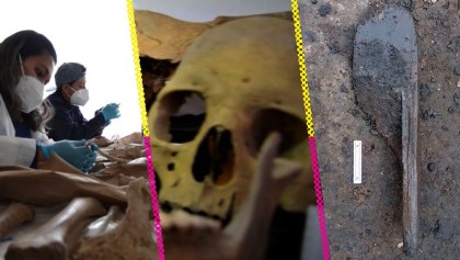 Chinampas y otros tesoros descubiertos en la construcción del Trolebús Chalco-Santa Martha