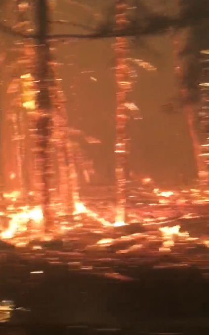 Los videos más estremecedores de los incendios en Canadá