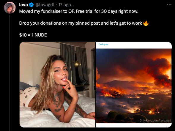 Modelo de OnlyFans intentó recaudar dinero para Hawái (salió mal)
