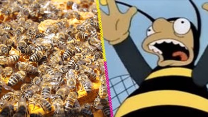 Ay, ay, ay: 5 millones de abejas cayeron de un camión en Canadá