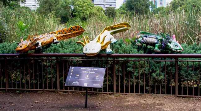 Así se verán las esculturas del Axolote Centenario