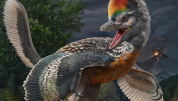 Un extraño dinosaurio con alas.