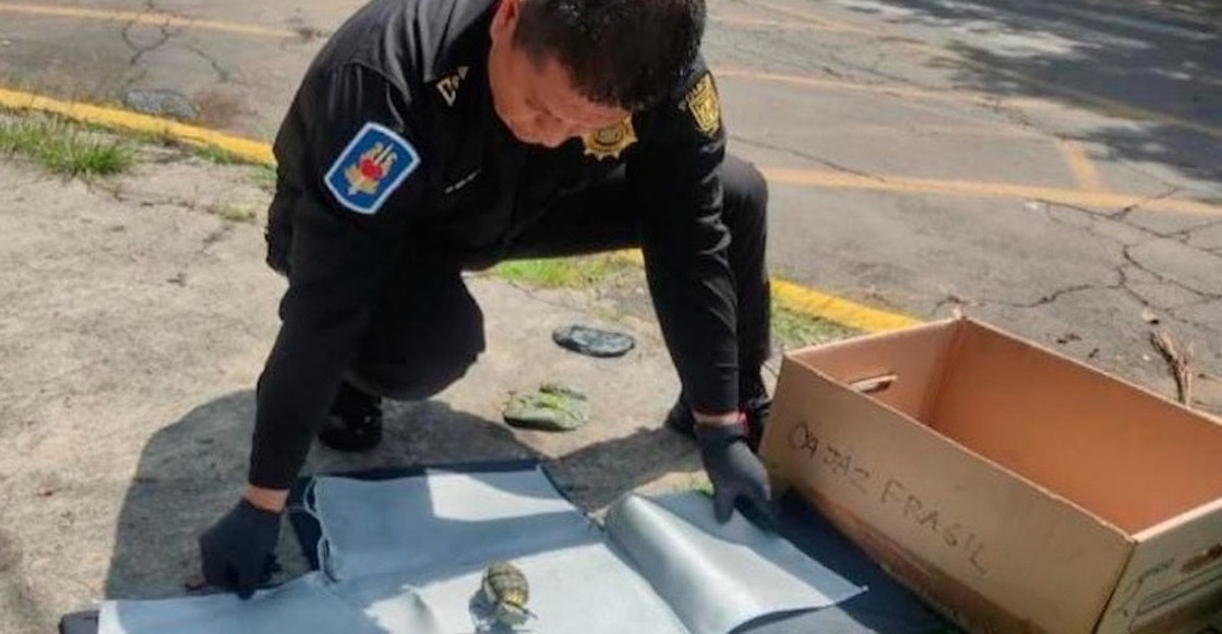 Frágil, dice: Encuentran una granada en camión de la basura en Lomas