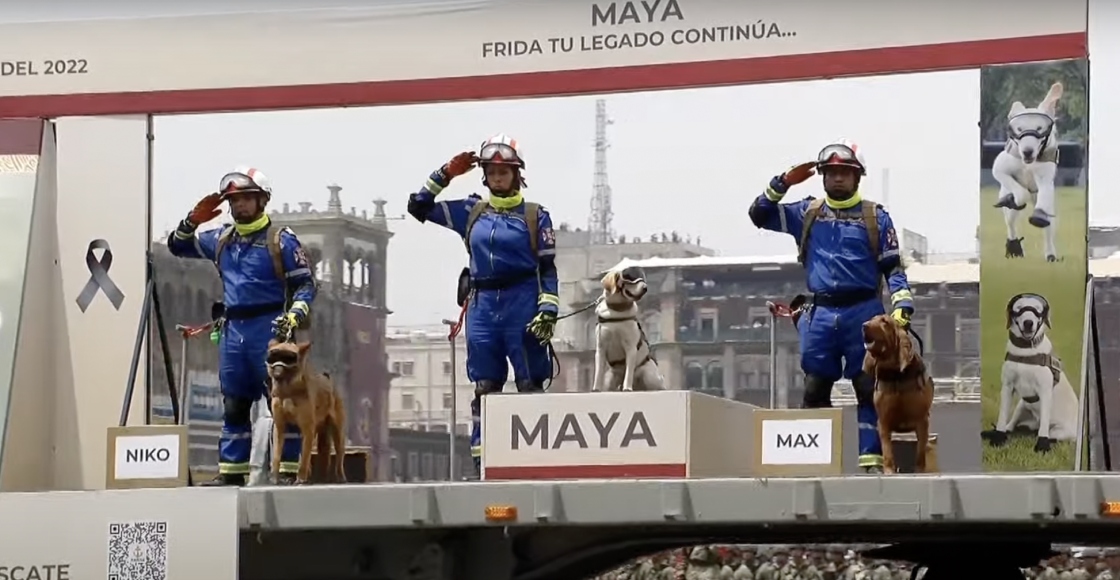 "Frida, tu legado continúa": Ella es Maya, la perrita que está entrenando en el Ejército