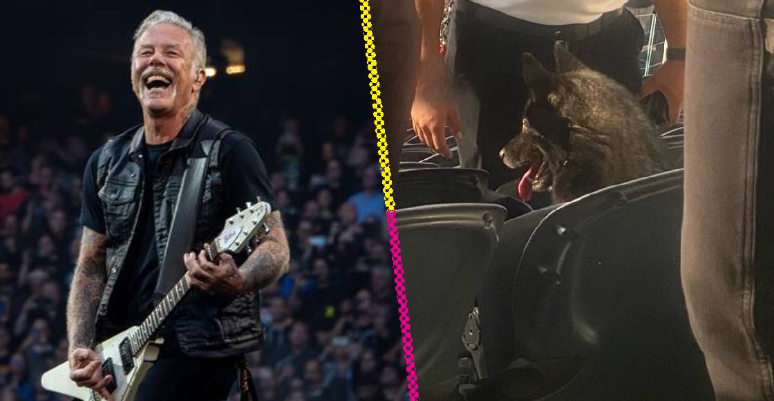 Una perrita se escapó de su casa y terminó en el concierto de Metallica