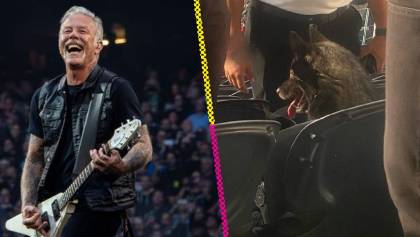 Una perrita se escapó de su casa y terminó en el concierto de Metallica