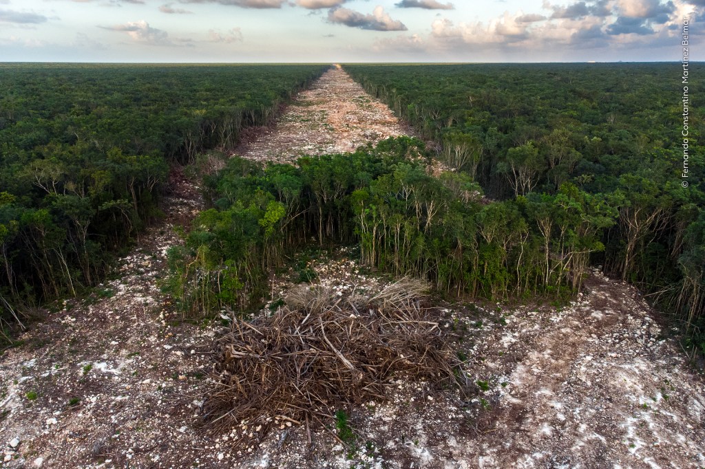 Foto de deforestación por el Tren Maya gana el concurso Wildlife Photographer of the Year