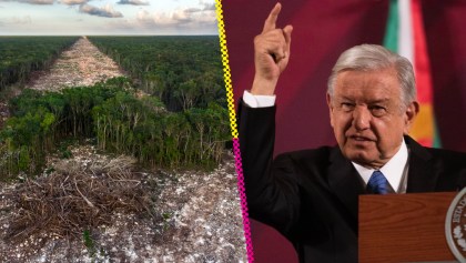 Foto de deforestación por el Tren Maya gana el concurso Wildlife Photographer of the Year