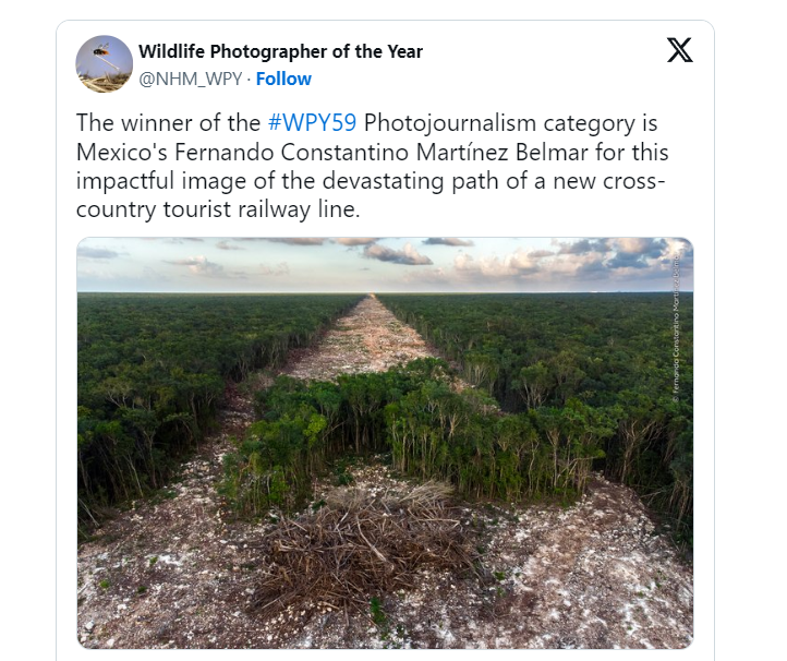 Foto de deforestación por el Tren Maya gana el concurso Wildlife ...