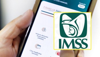Trabajadores freelance ya podrán afiliarse al IMSS