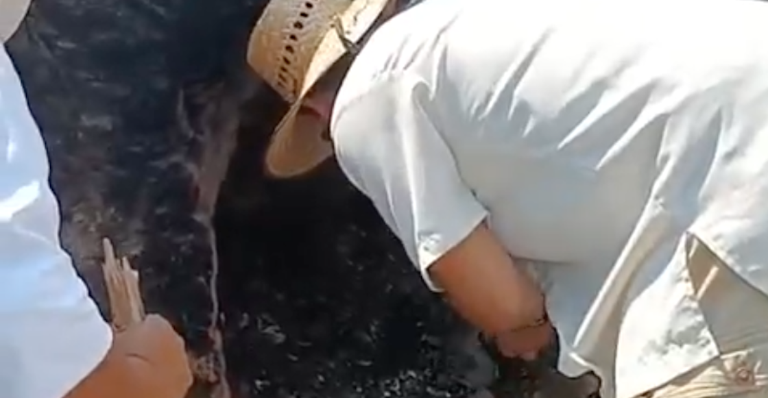 madres buscadoras jalisco crematorio clandestino