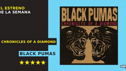 black pumas