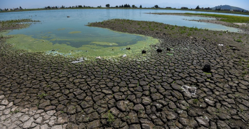 Más del 80% del territorio en México tiene algún nivel de sequía