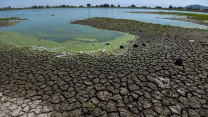 Más del 80% del territorio en México tiene algún nivel de sequía