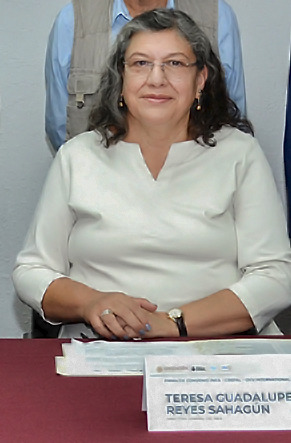 Teresa Reyes, la nueva jefa de Comisión de Búsqueda, no sabe nada de desaparecidos