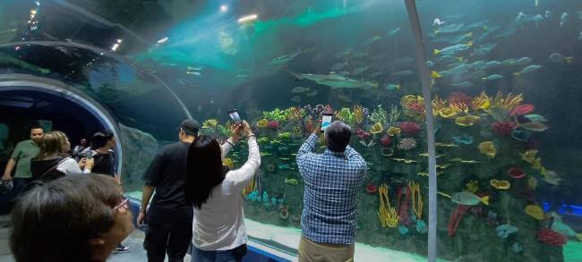 Así es Michin, el nuevo acuario de la CDMX que será el más grande de ...