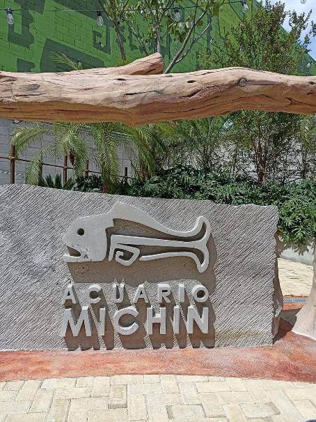 Una visita a Michin, el nuevo acuario de la CDMX