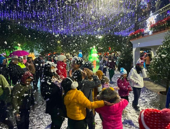 Así es el famoso bosque de los árboles de Navidad en la CDMX en Amecameca