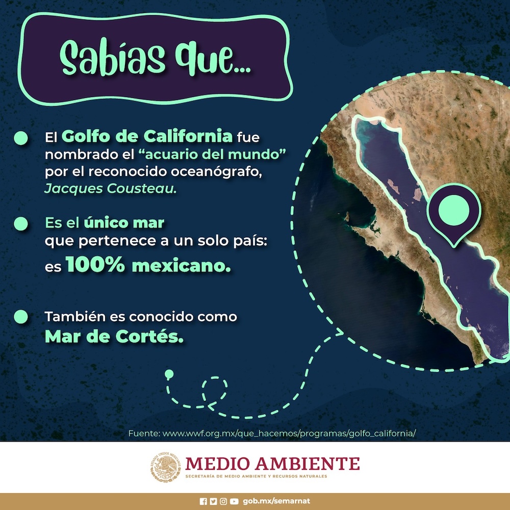 Y a todo esto: ¿Por qué el Golfo de California se llama Mar de Cortés?