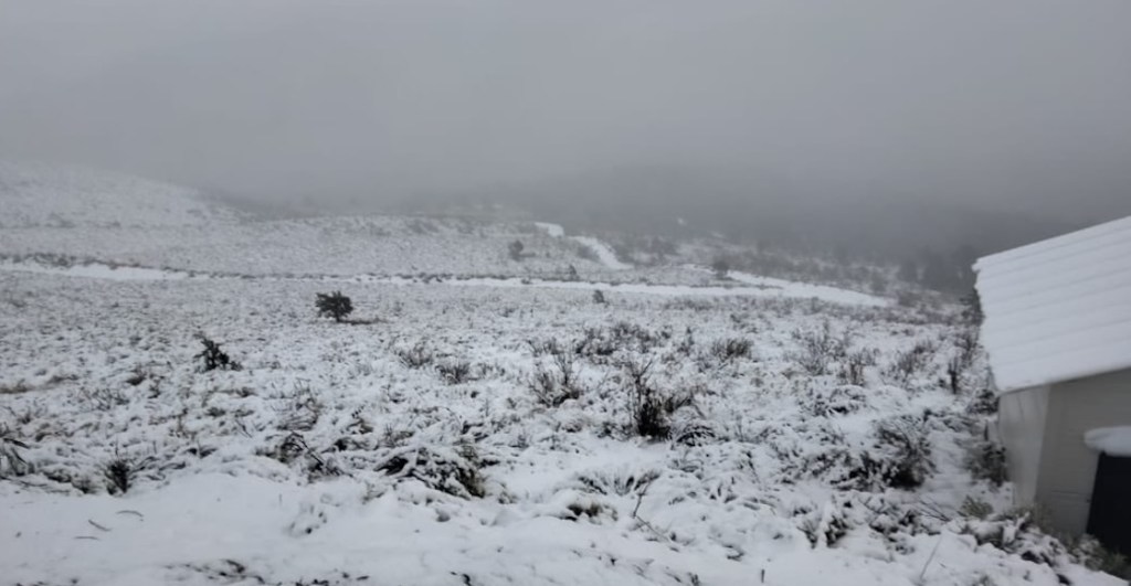 Y en el Nevado de Toluca adelantaron la Navidad con nieve, pero el parque está cerrado