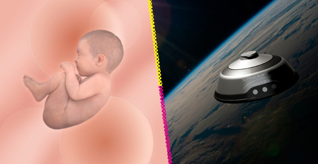 SpaceBorn United, la que empresa que busca reproducir humanos en el espacio