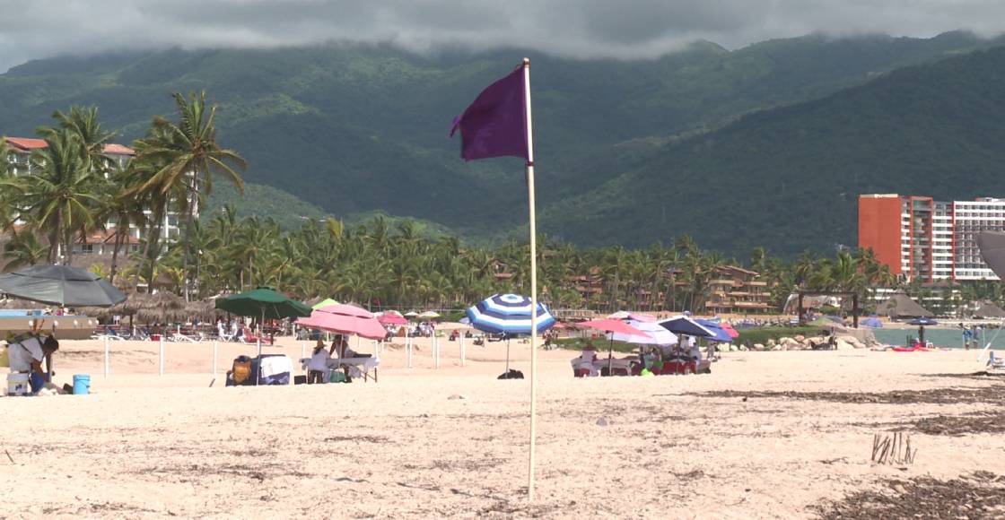 Nadie entra al mar: Bandera morada en Jalisco por ataque de tiburón