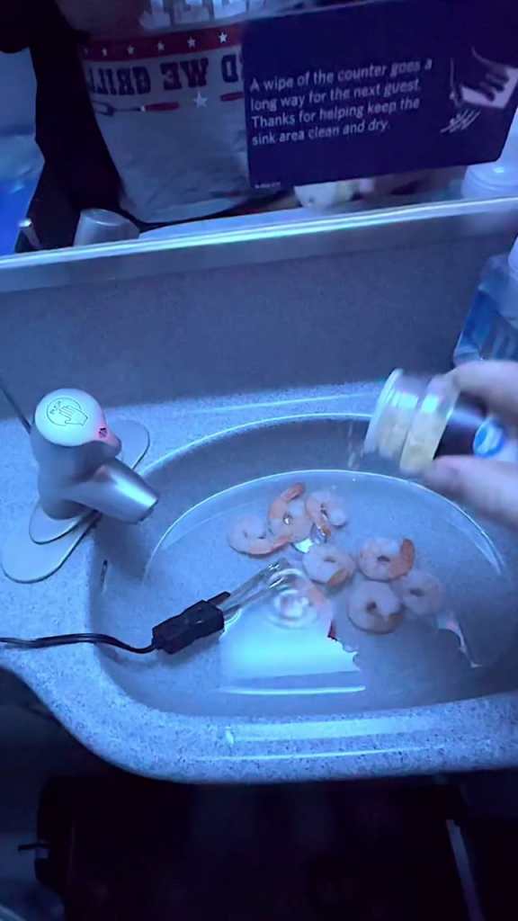 El video de un tipo que cocina camarones en el baño de un avión