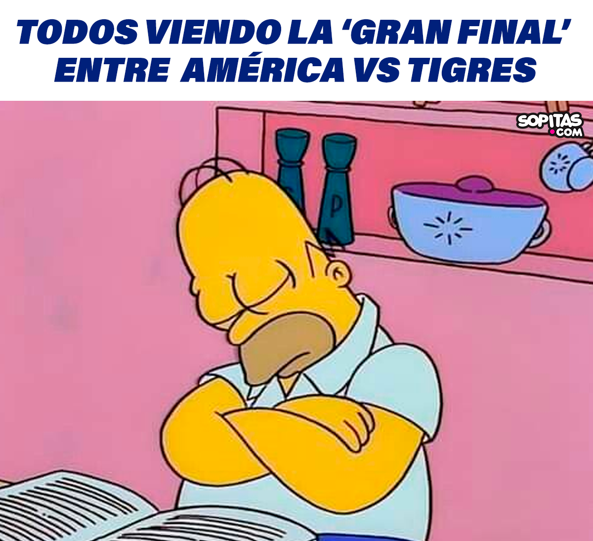 Los memes del triunfo de América y las expulsiones de Tigres en la final