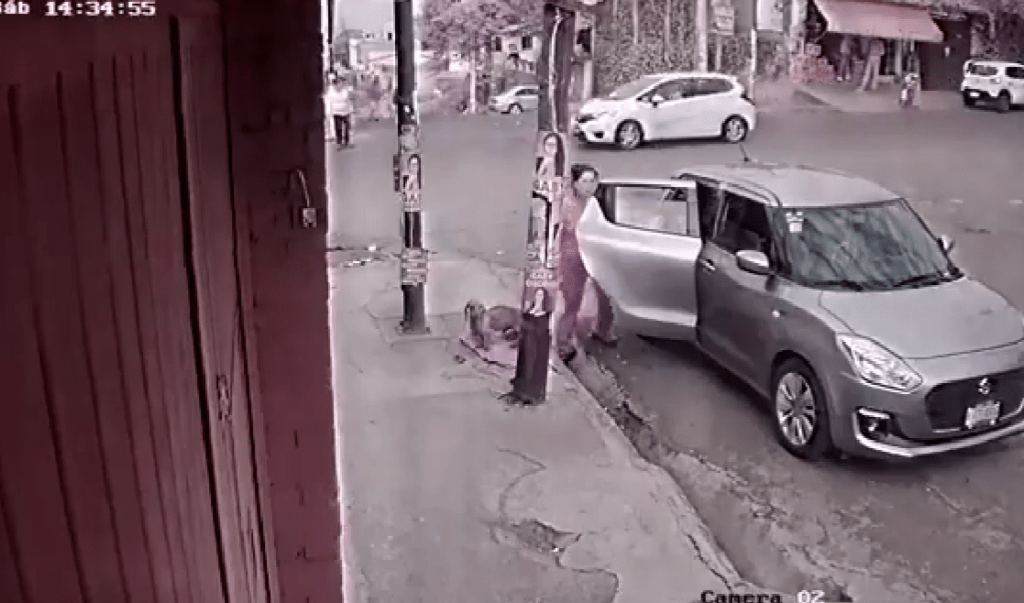 Mujer abandona perrito en calles de Tlalpan y queda grabada en video